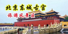 被命令掰开自己处女穴美臀视频网站中国北京-东城古宫旅游风景区